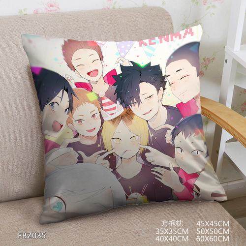 FBZ035-45x45ȫ˫淽