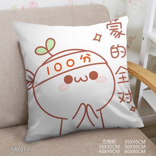 FBZ012-45x45ȫ˫淽