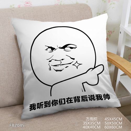 FBZ045-45x45ȫ˫淽