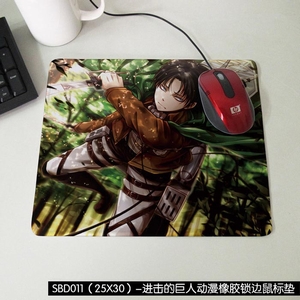 SBD011�����ľ��˶�������������25X30