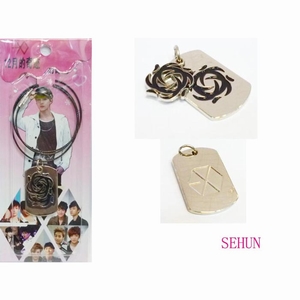 EXO SEHUN˫�Ʊ�־��˿��