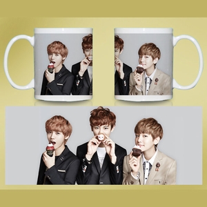 BZ991-EXO���ǲ�ӡ���˱�