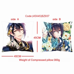 BZ937-趯˫淽45X45