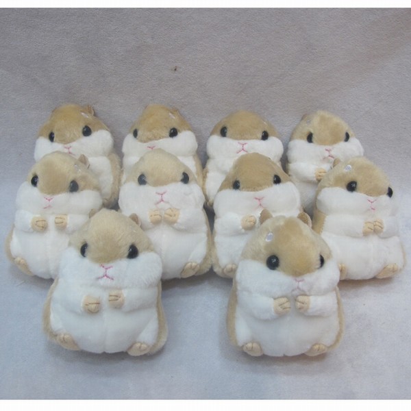 ϵë߶ԪҼɫ10Լ10CM