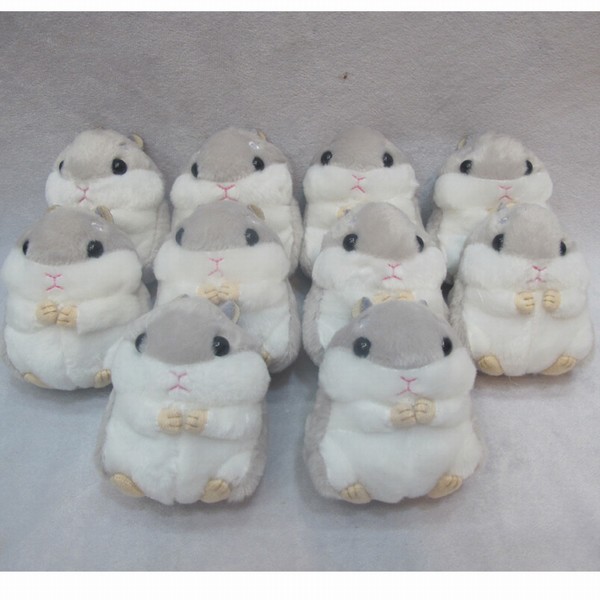 ϵë߶ԪҼɫ10Լ10CM