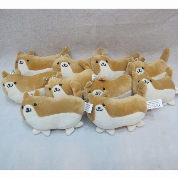 ܱë߹Կ׿۹Ҽ10Լ12CM