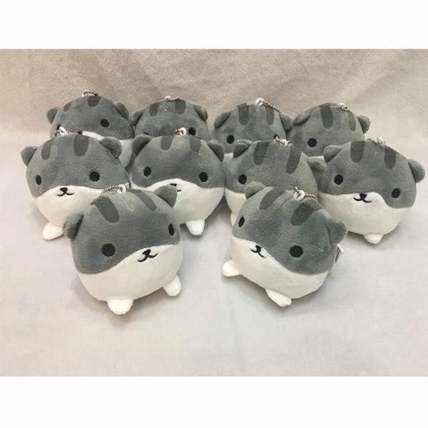 ձϷܱèԺë߹Ҽ10Լ9CM