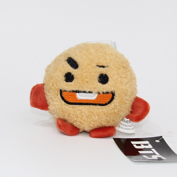 BTSBT21ëԿ׿۹Ҽ 10X8CM 10