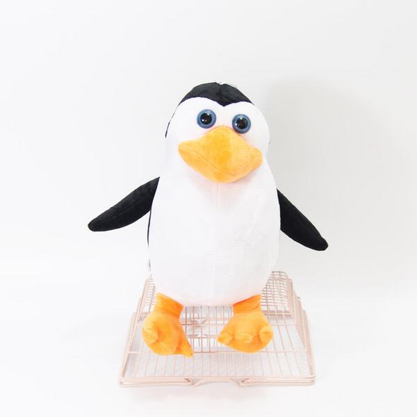 쿨ͨë޹ 28CM