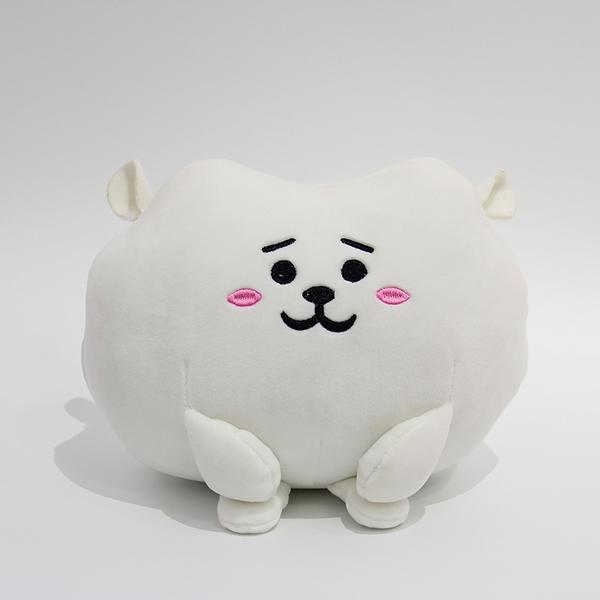 BTS BT21  ɫë߹ 30X20CM 0.22KG װ