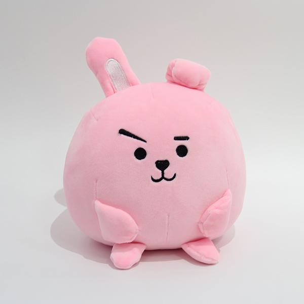 BTS BT21  ɫԲë߹ 30X20CM 0.22KG װ