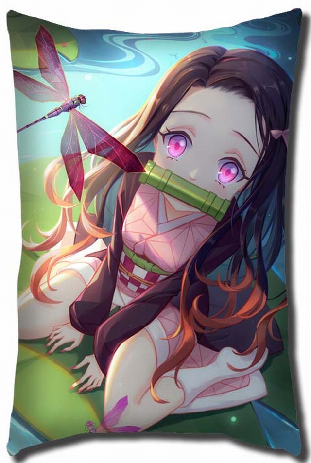 G4-32֮ж˫泤40X60CM ǰԤ